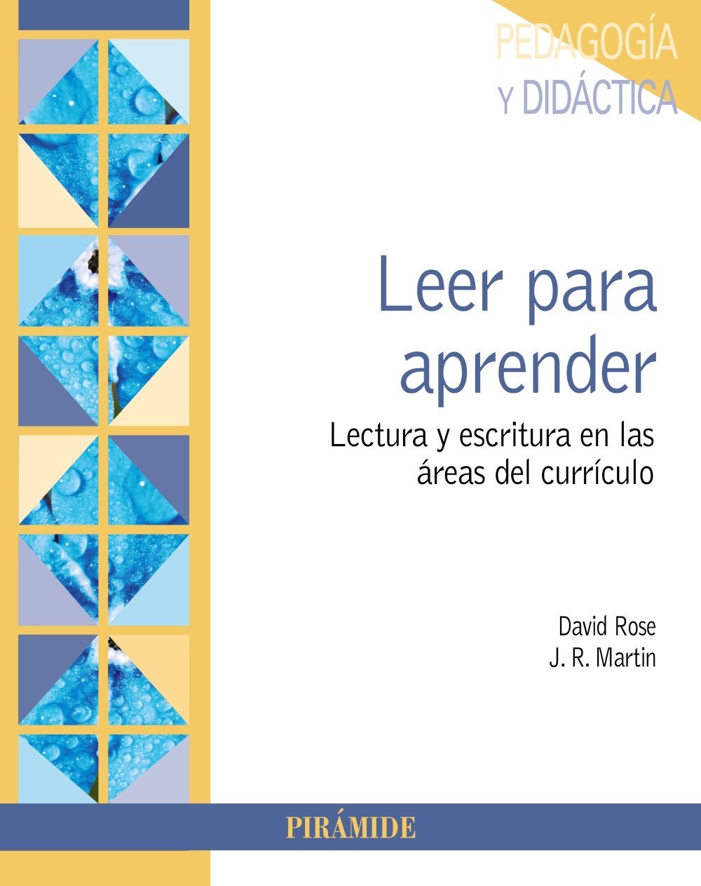 Historia de LEPADIS